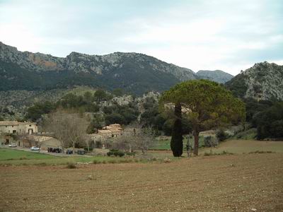 DSCF0054.JPG
